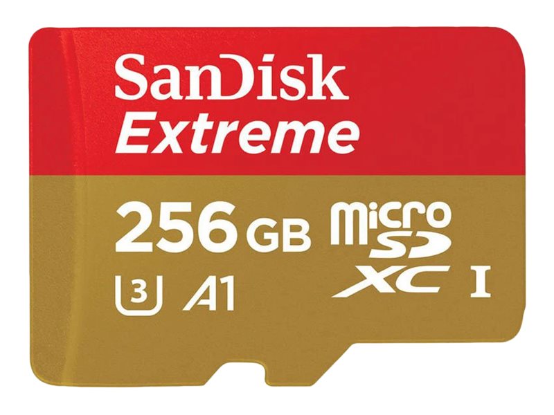 REALWEAR Micro SD Card 256GB SanDisk (171049)