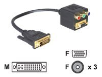 Delock - VGA-Adapter - DVI-I (M) zu HD-15 (VGA), RCA (W) - 20 cm