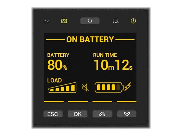 APC Smart-UPS RT - USV (in Rack montierbar/extern)
