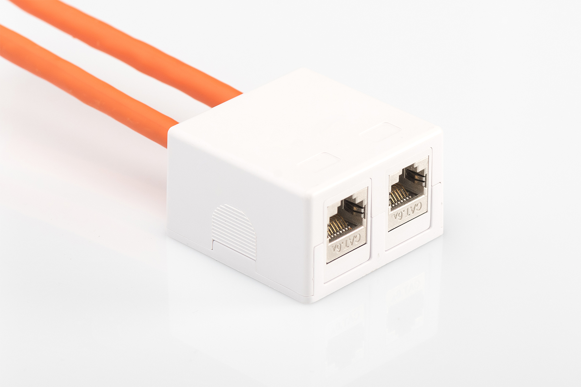DIGITUS Konsolidierungs-Punkt Gehäuse für 2x Keystone Module, Ansicht 4