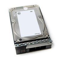 Dell  Kunden-Kit - Festplatte - 12 TB - Hot-Swap - 3.5 (8.9 cm)