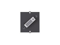 Bachmann Modulares Faceplate-Snap-In - DVI-I
