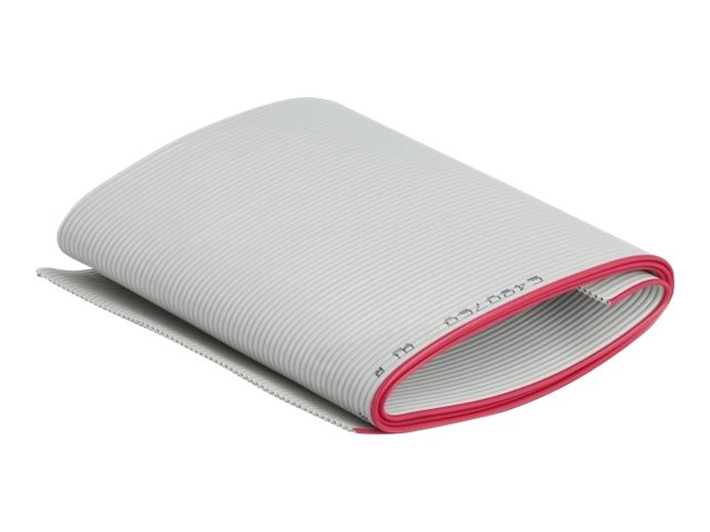 Delock Bulkkabel - 50 cm - Grau
