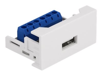 Delock - Easy 45 - Einrastmodul - USB - 1 Modul - weiß, RAL 9003
