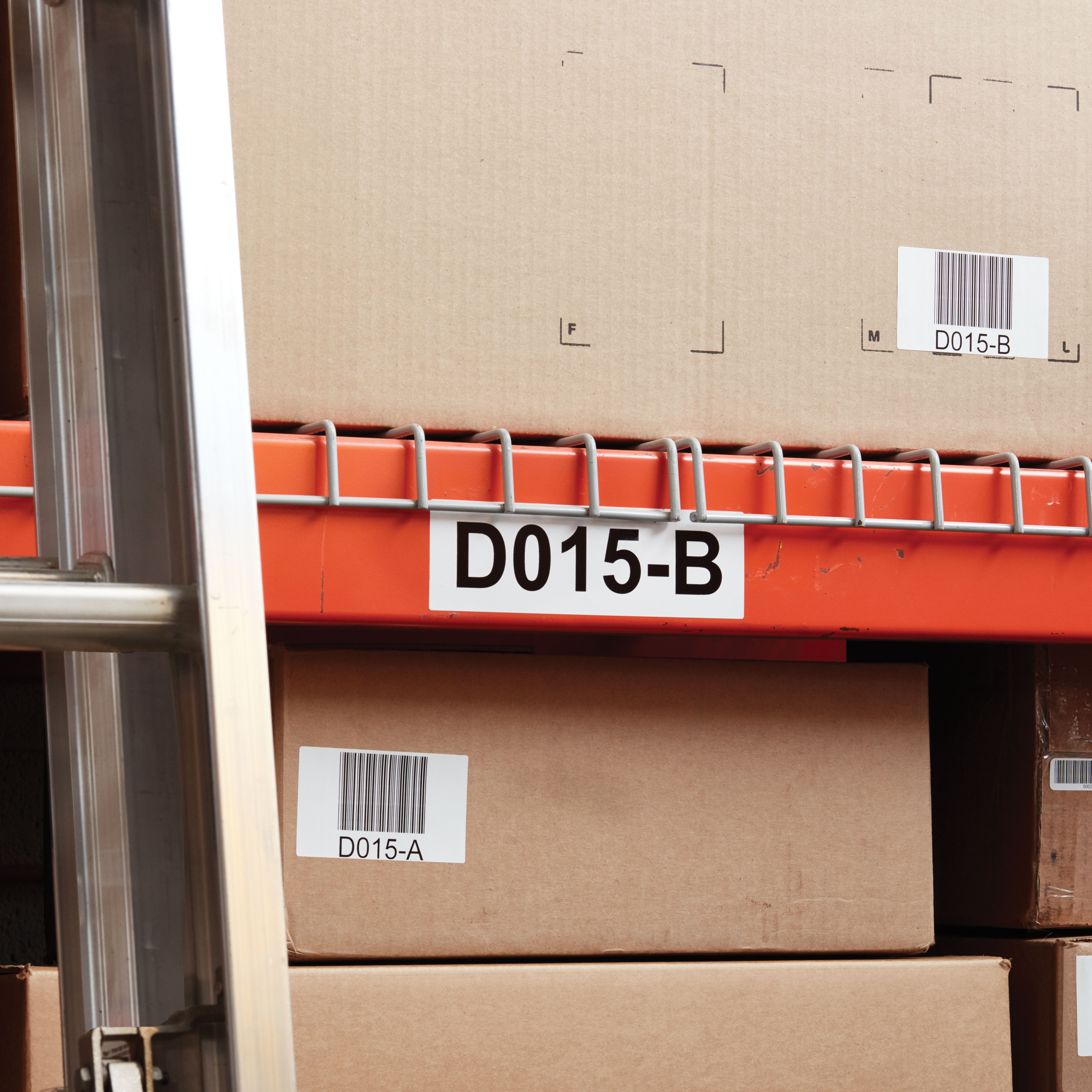 Dymo LabelWriter DURABLE - Polypropylen (PP), Ansicht 2