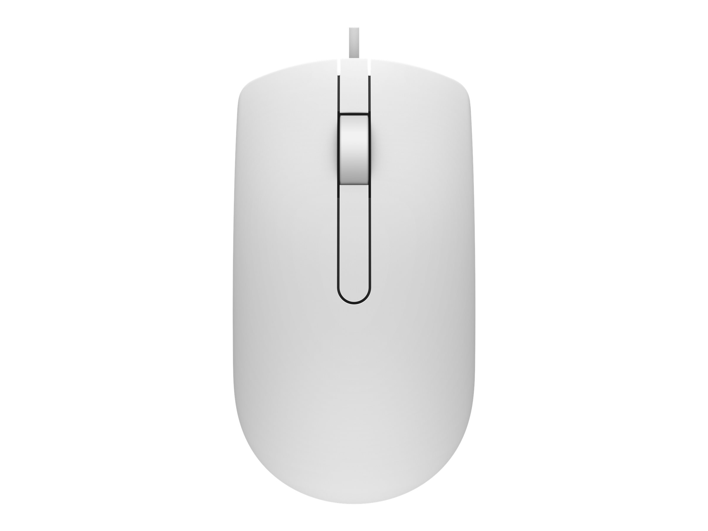 Dell MS116 mouse Ambidextrous USB Type-A Optical - Maus - 1.000 dpi, Ansicht 3