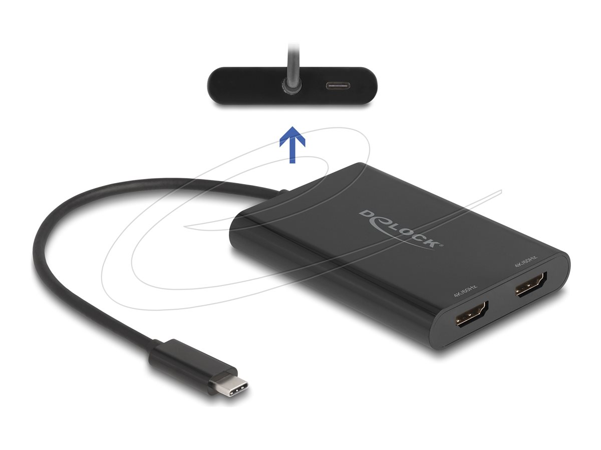 Delock Dockingstation - USB-C / Thunderbolt