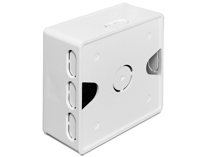 Delock Back Box - Installationskasten Netzwerkoberfläche, Ansicht 2