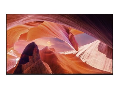 Sony Bravia Professional Displays FWD-65X80L - 164 cm (65)