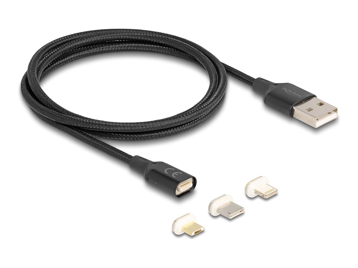 Delock USB-Ladeadaptersatz - USB (M) zu Lightning Micro-USB Typ B 24 pin USB-C (M)