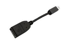 PNY Zubehoer Kabelpeitsche mDP>DP - Adapter - Digital/Daten