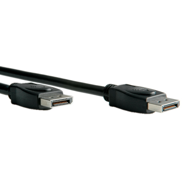 ROLINE DisplayPort-Kabel - DisplayPort (M), Ansicht 2