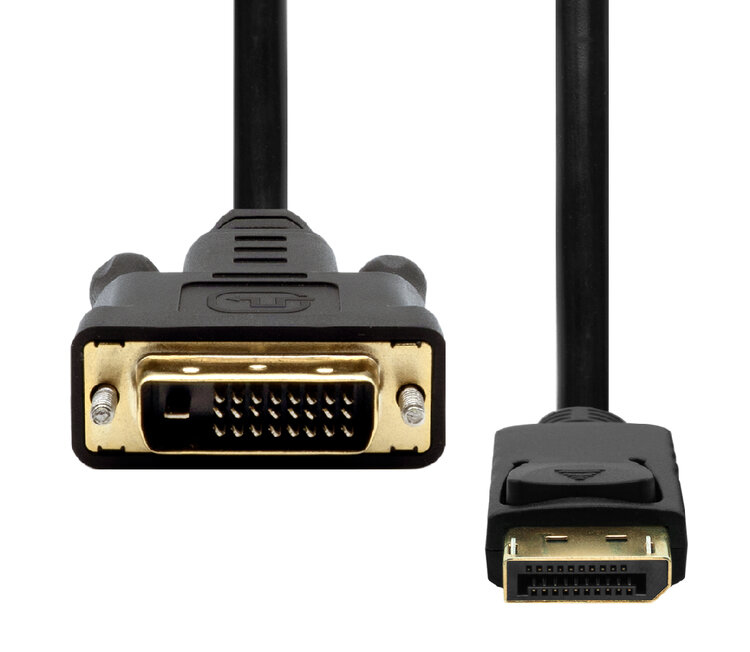 ProXtend Adapterkabel - DisplayPort (M) eingerastet zu DVI-D (M), Ansicht 2