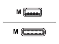 Digital Data Communications USB-Kabel - USB (M) bis USB-C (M) - USB 3.2