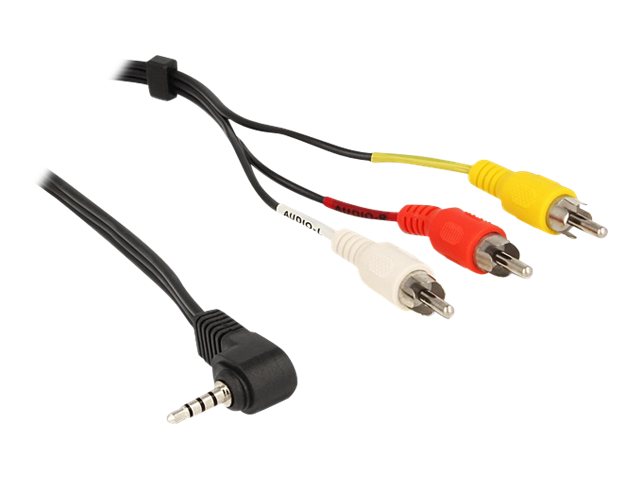 Delock Video-  Audiokabel - Composite Video  Audio