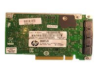 HP Netzwerkadapter 366FLR 1Gb (669280-001)