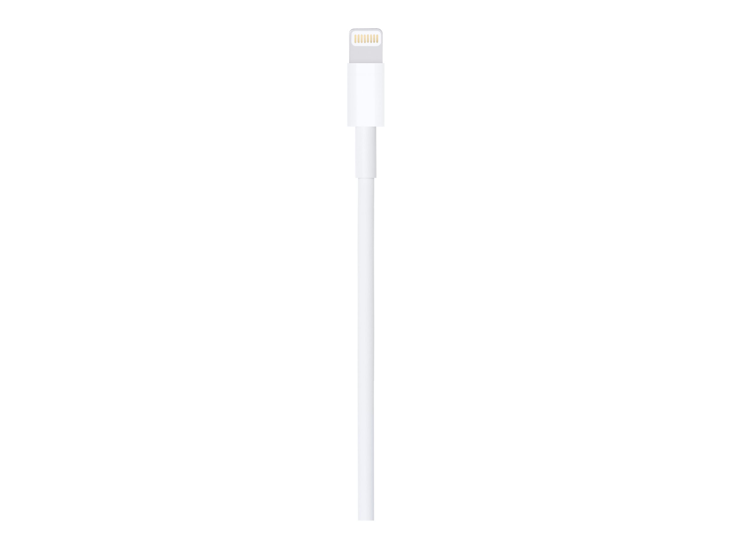 Apple Lightning-Kabel - Lightning männlich zu USB männlich