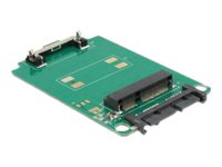 Delock Converter Micro SATA 16 Pin > mSATA full size