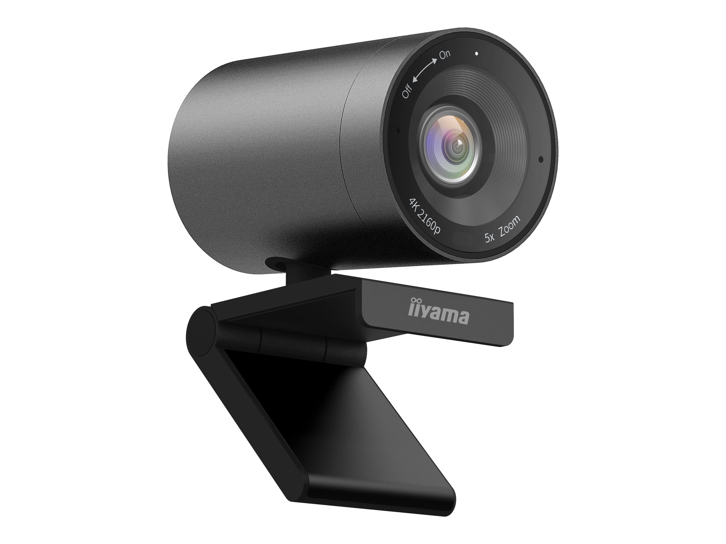 Iiyama UC-CAM10PRO-1 - Webcam - neigen - Farbe