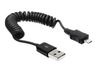 Delock USB-Kabel - USB (M) zu Micro-USB Typ B (M)