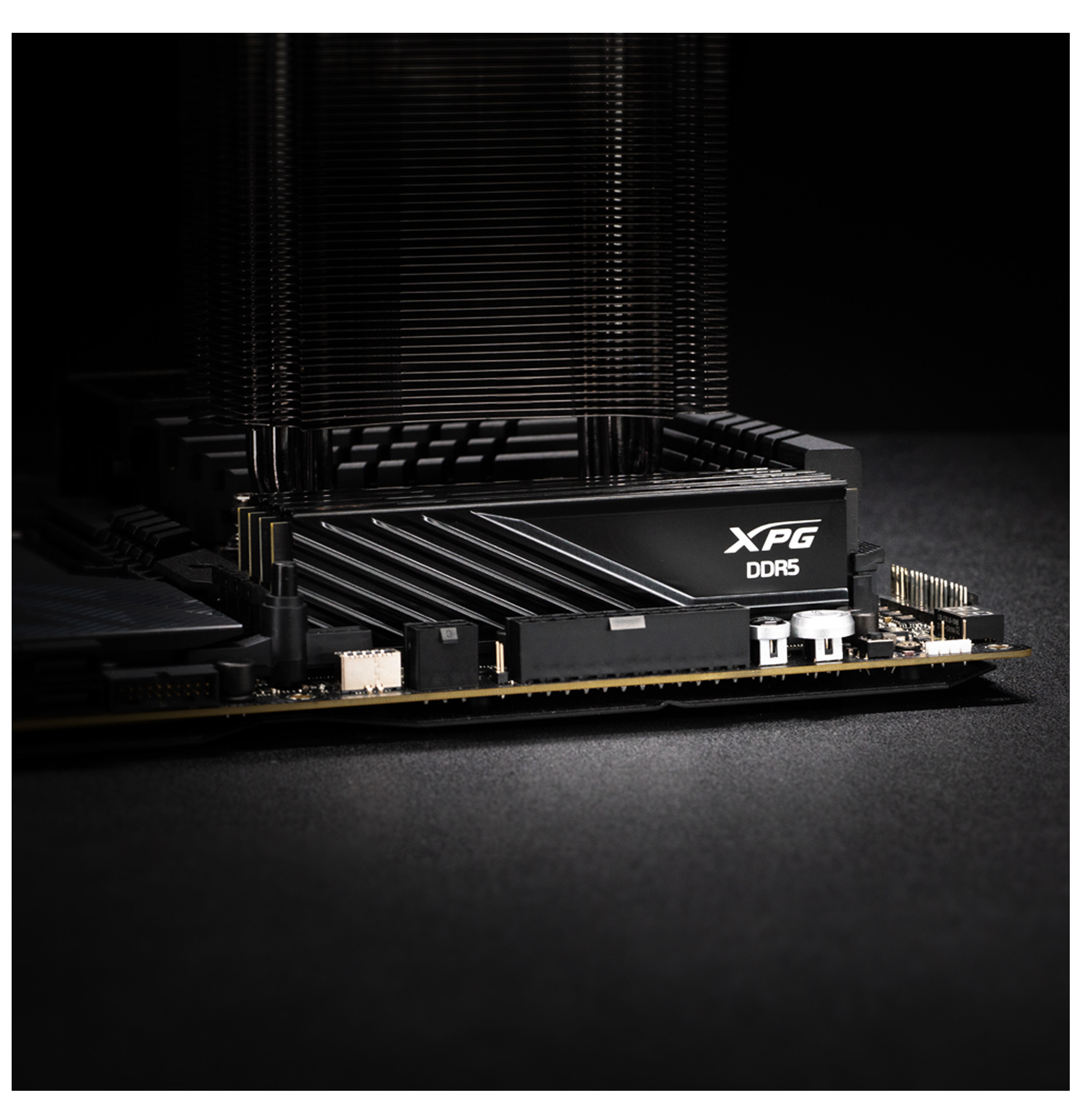 ADATA DIMM DDR5-5600 Dual-Kit schwarz AX5U5600C4616G-DTLABBK XPG - 32 GB - DDR5 (AX5U5600C4616G-DTLABBK) - 32 GB - DDR5, Ansicht 2