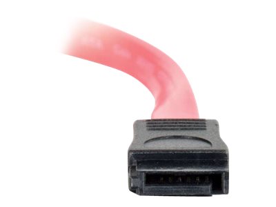 C2G SATA-Kabel - Serial ATA 150300600 - SATA (M)