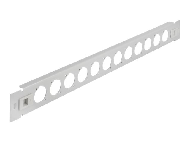 DELOCK 48,26cm D-Typ Patchpanel 12P grau (66902)