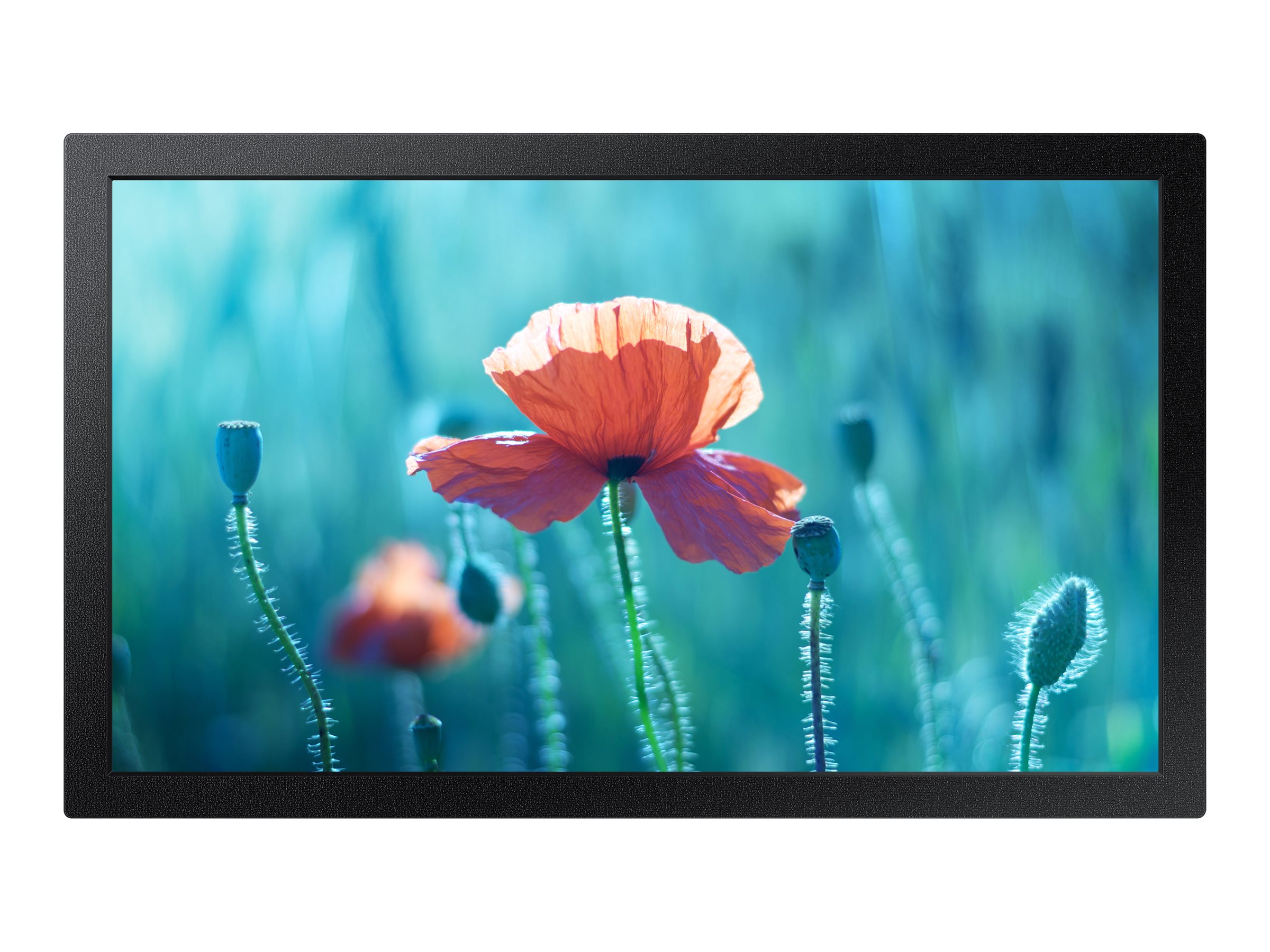 Samsung QB13R-M - 33 cm (13") Diagonalklasse QBR Series LCD-Display mit LED-Hintergrundbeleuchtung