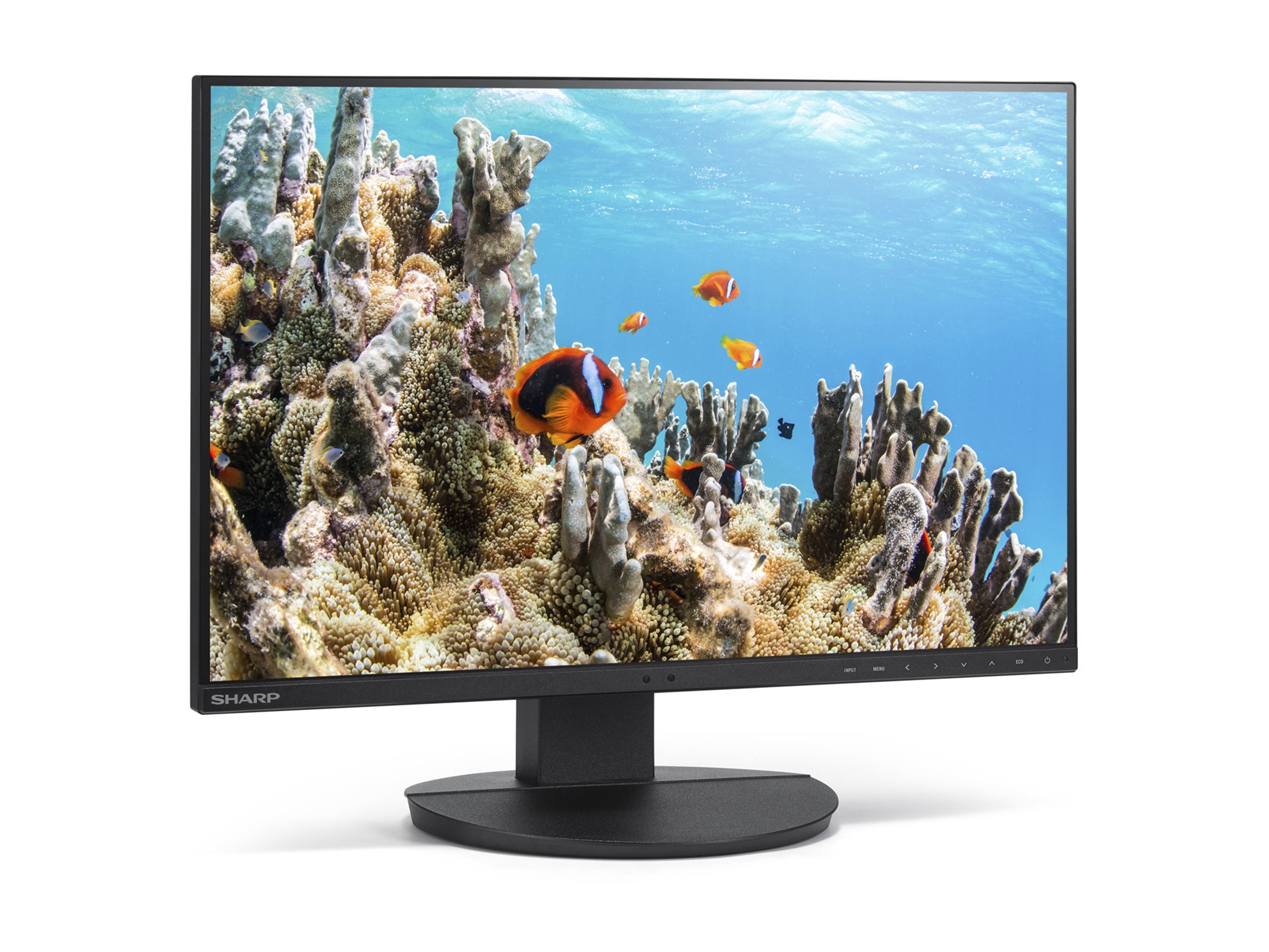 Sharp MultiSync EA242W - 24 - Flachbildschirm (TFT/LCD) - 61 cm, Ansicht 3