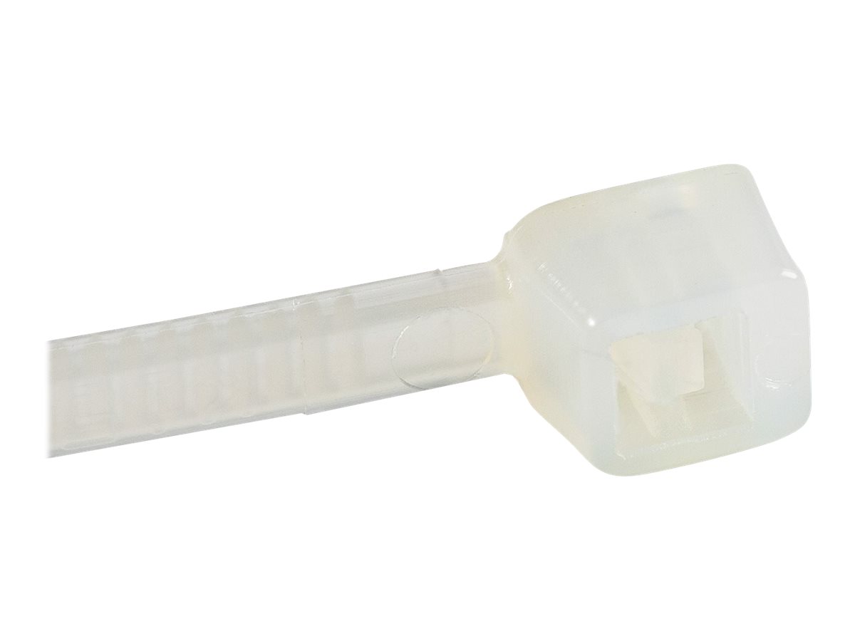 StarTech.com Kabelbinder 100x2 mm - Selbstsichernde Nylon-Kabelbinder mit Gebogener Spitze Bündeldurchmesser bis zum 22 mm 8 kg Zugfestigkeit 94V-2UL 100 Stück - Weiß (CBMZT4N)