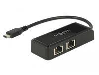 Delock Adapter USB-C 3.1 Gen 1 > 2 x Gigabit LAN 101001000 Mbs