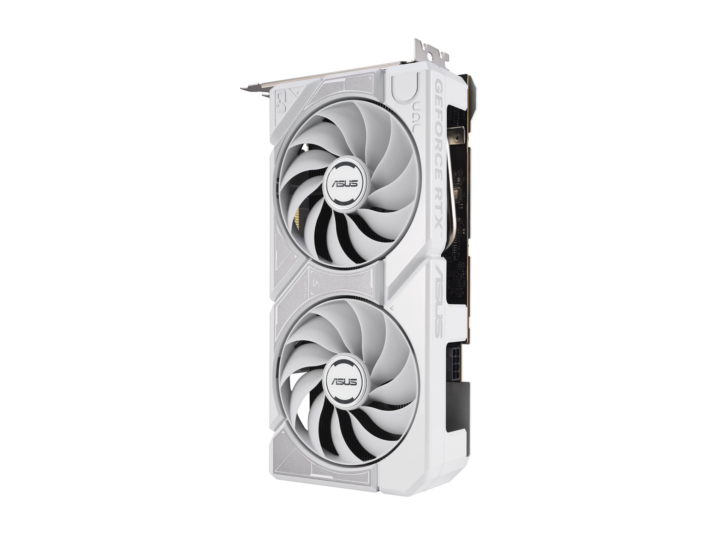 ASUS Dual - Grafikkarte - GeForce RTX 5060