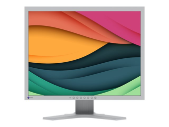 EIZO FlexScan S2134 - LED-Monitor - 54 cm (21.3)