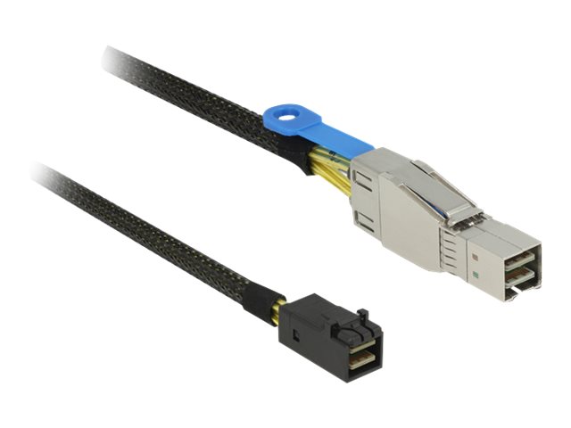 Delock SAS Kabel Mini SAS HD -> Mini SAS HD 1.00m (83618)