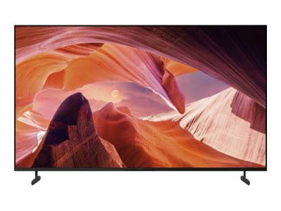 Sony Bravia Professional Displays FWD-65X80L - 164 cm (65)