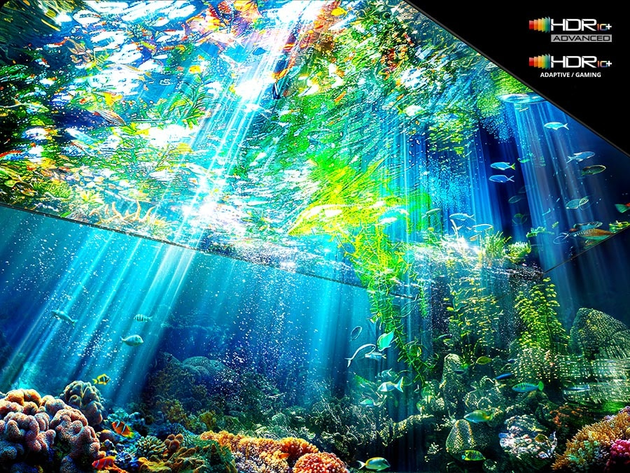 aHR0cHM6Ly9pbWFnZXMuaWNlY2F0LmJpei9pbWcvYnVsbGV0cy8xNDYxNjMyMzgtNjlmM2M3ZjEyOGI4NTIwOTc4MDQxMi5qcGc%3D