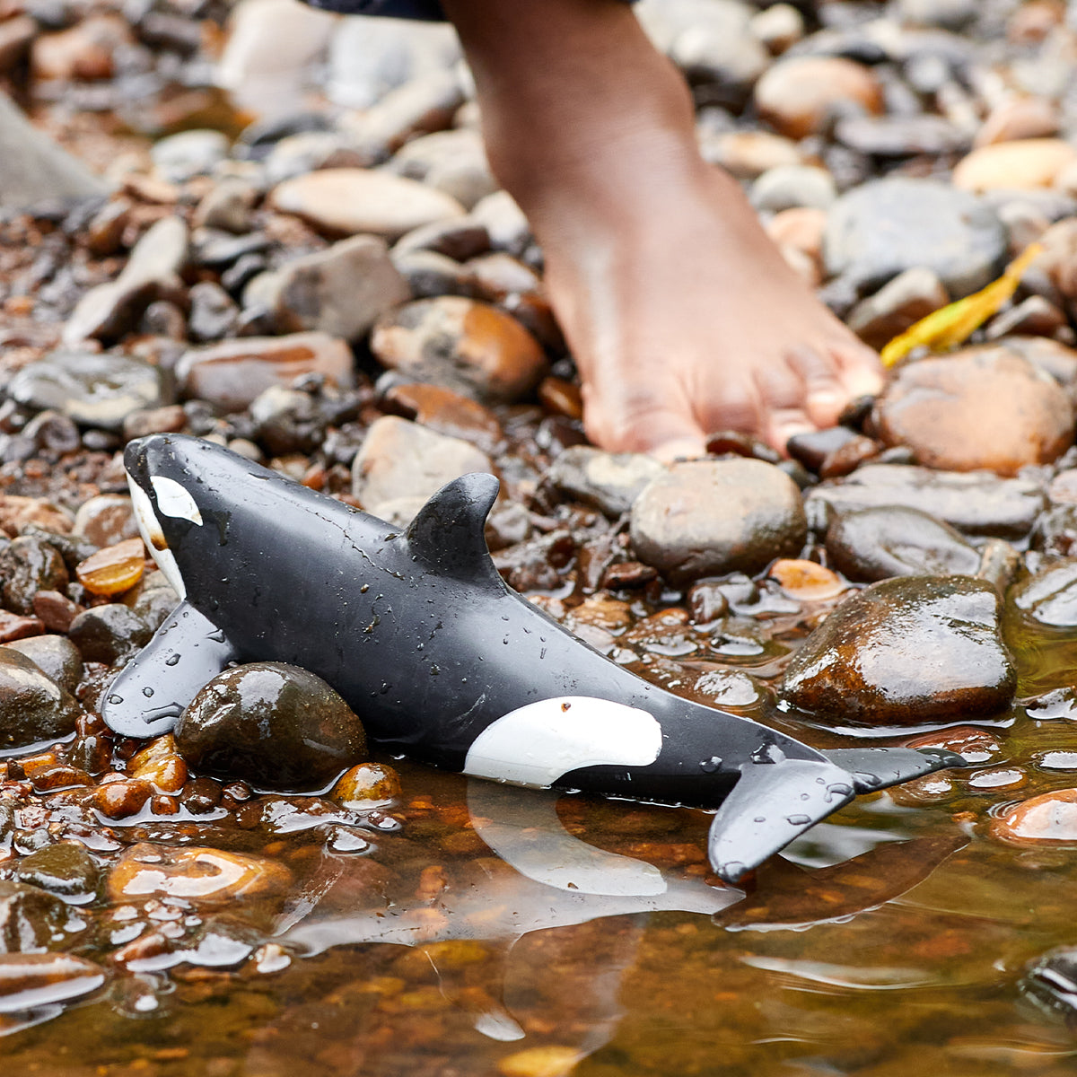 Schleich WILD LIFE Orka - 3 Jahr(e) - Mehrfarbig - Kunststoff - 1 Stück(e), Ansicht 3