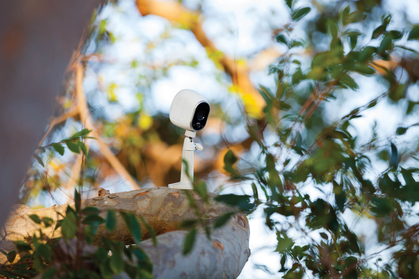 Netgear Arlo - Kamera Schwenk-/Kipphalterung - Deckenmontage möglich, geeignet für Wandmontage, Ansicht 2
