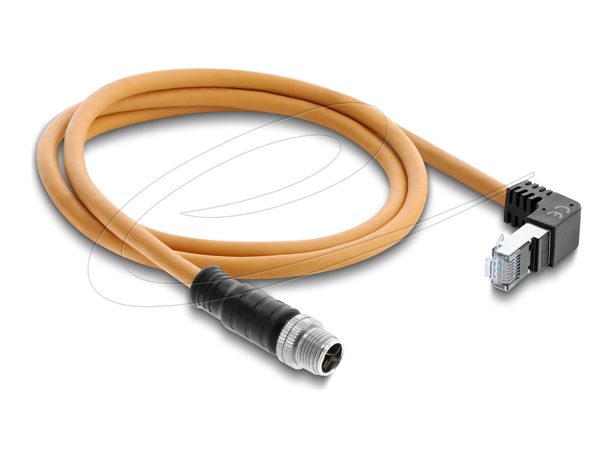 Delock Netzwerkkabel - 8-polig M12 (M) gerade zu RJ-45 (M)