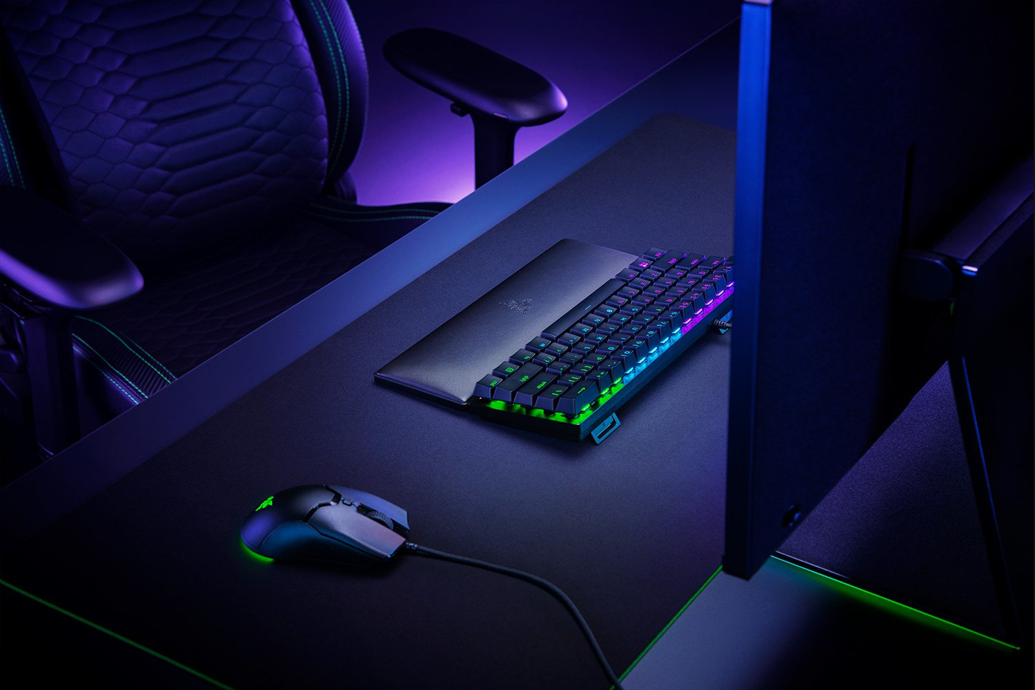 Razer Standard Edition - Handgelenkkissen - mini, Ansicht 4