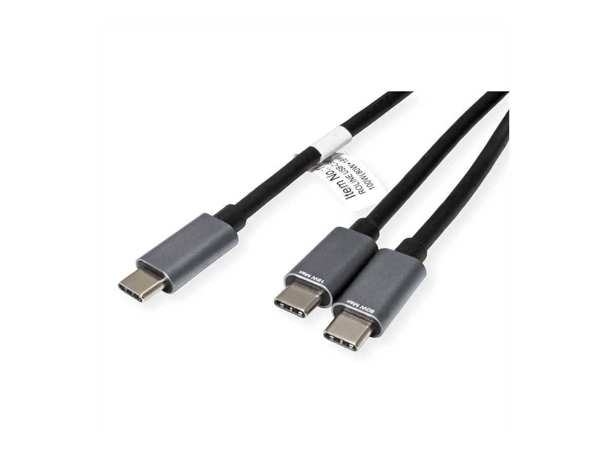 ROTRONIC-SECOMP Roline - USB-Kabel - 24 pin USB-C (M) zu 24 pin USB-C (M), Ansicht 3