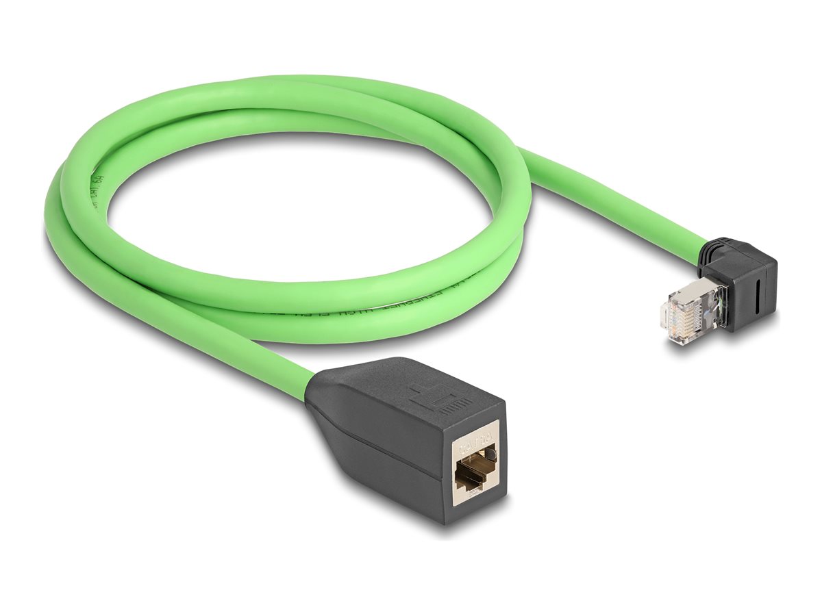 Delock Patch-Verlängerungskabel - RJ-45 (M)