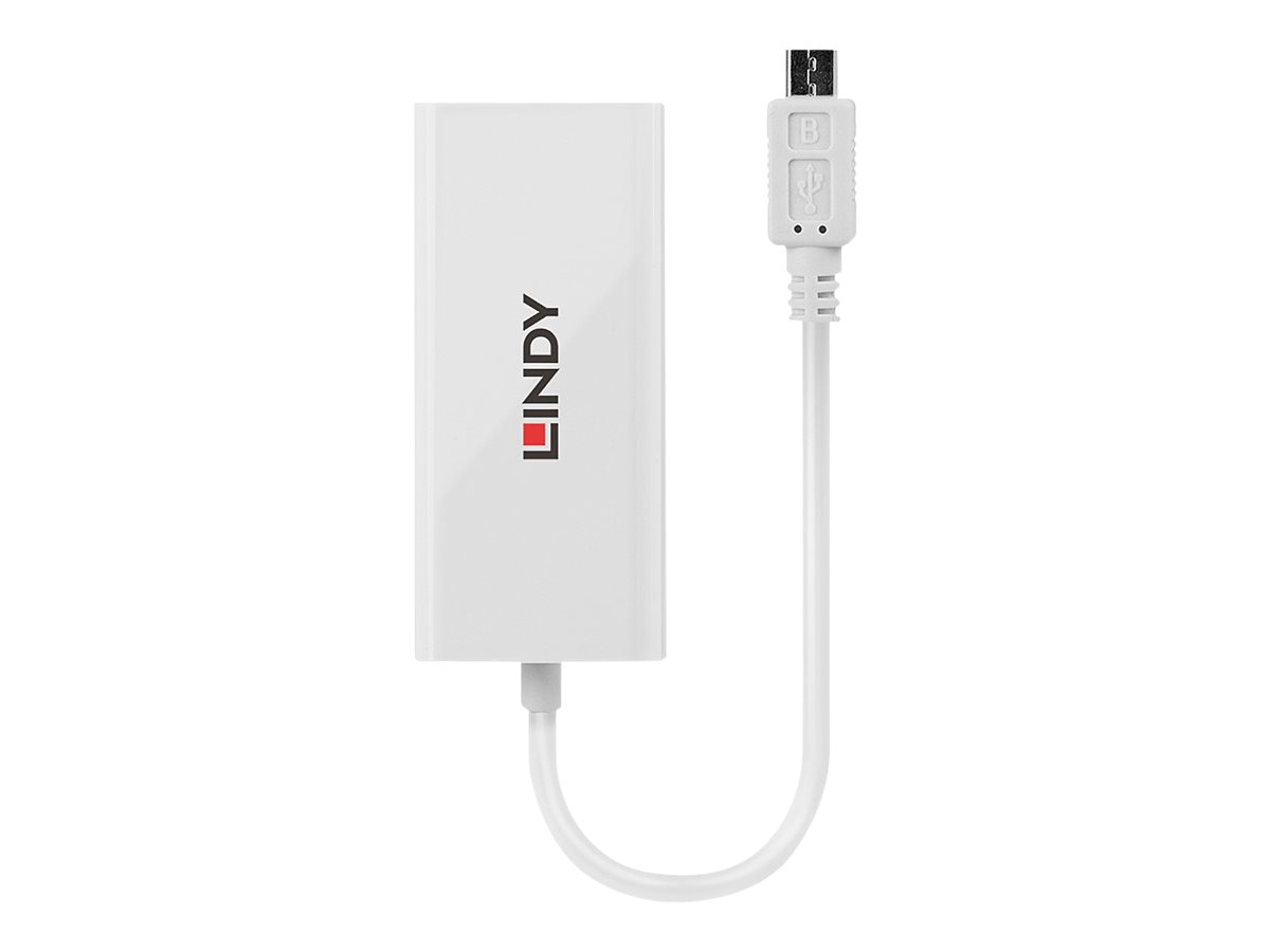 Lindy USB 2.0 Fast Ethernet Converter - Netzwerkadapter - USB 2.0 - 10/100 Ethernet - weiß