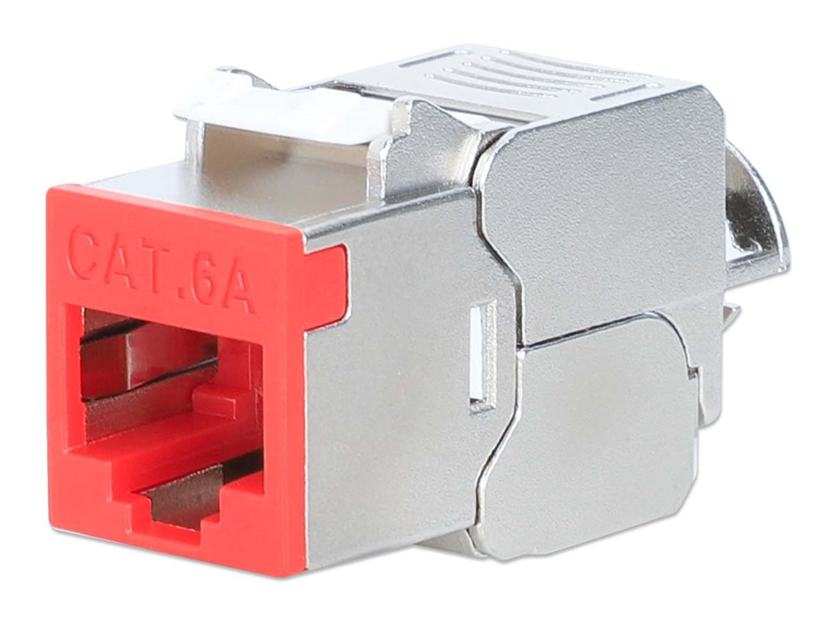 Intellinet Modulare Eingabe - slim, toolless, 10G