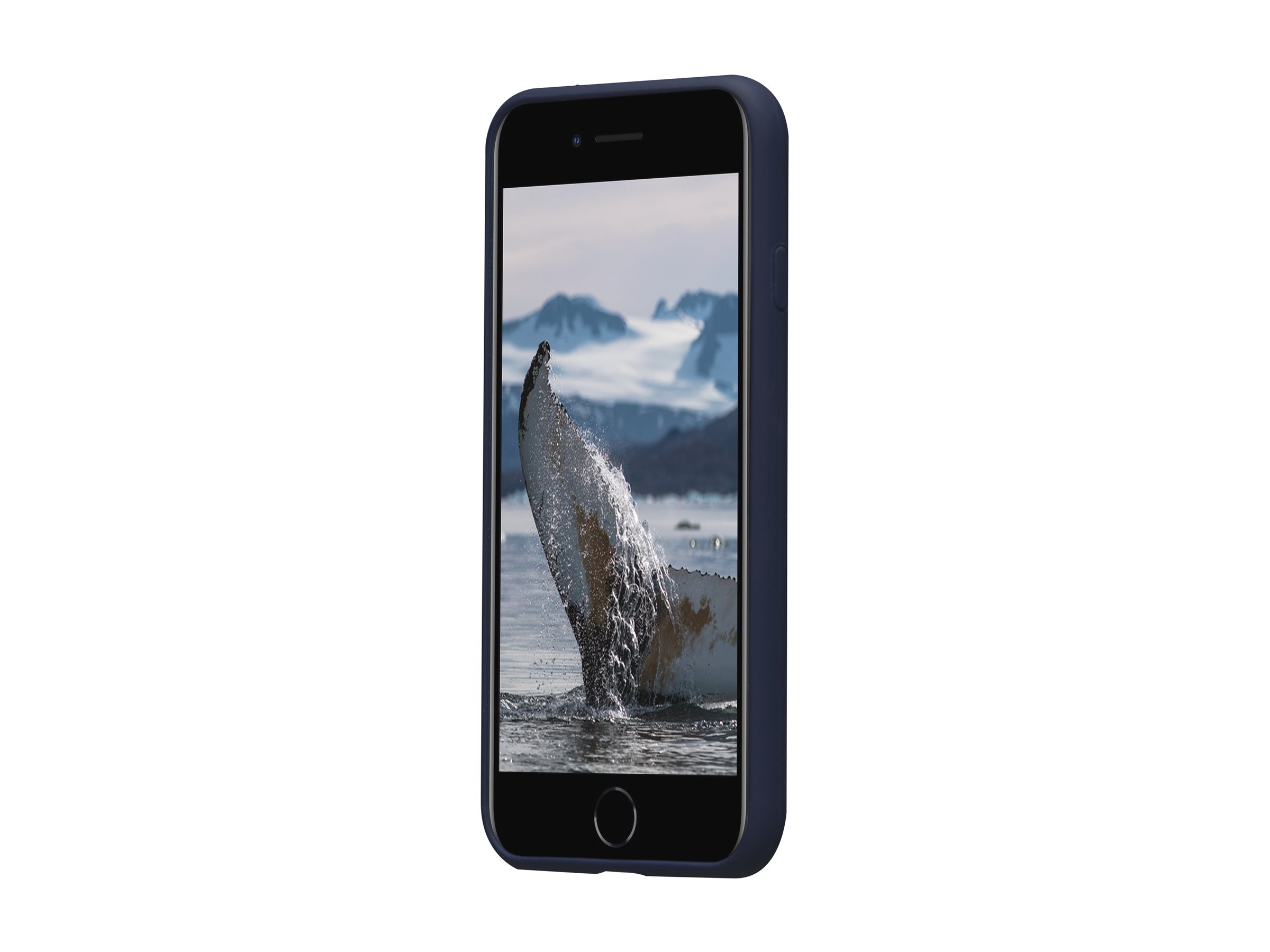 dbramante1928 Costa Rica - Hintere Abdeckung für Apple iPhone 7, 8, SE (2. Generation) - Pazifikblau, Ansicht 4