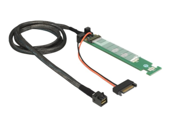 Delock Schnittstellenadapter - M.2 - PCIe
