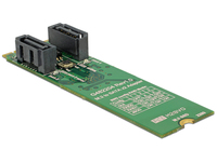 Delock Speichercontroller (RAID) - 2 SenderKanal