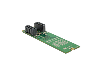 Delock Speichercontroller (RAID) - 2 SenderKanal