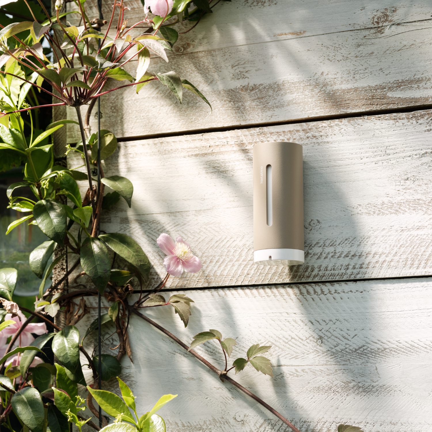 Netatmo NIM-S-WW - Grau - Innen-Hygrometer - Innen-Thermometer - Hygrometer - Thermometer, Ansicht 3